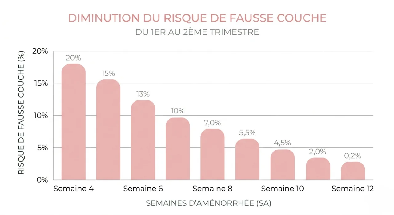 Risque de fausse couche en baisse selon les semaines SA