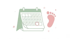 calcul date accouchement