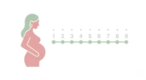 calculer à combien de mois de grossesse je suis